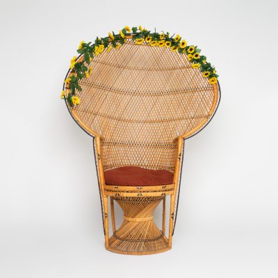 Peacock Chair - $25